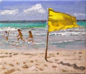 Yellow Flag, Barbados