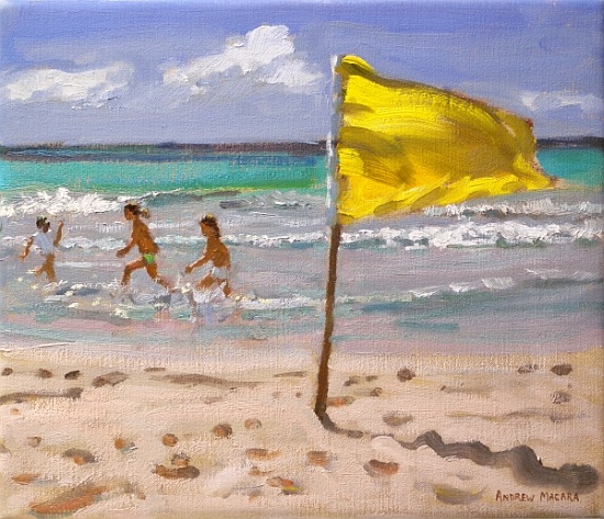 Yellow Flag, Barbados from Andrew  Macara
