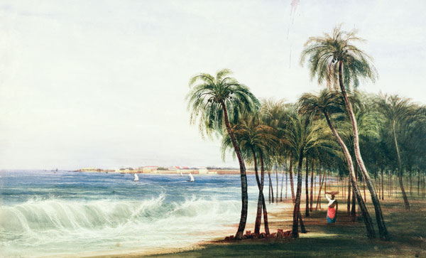 A View of Colombo, Ceylon from Andrew Nicholl