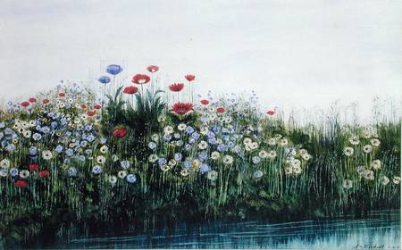 Poppies by a Stream from Andrew Nicholl