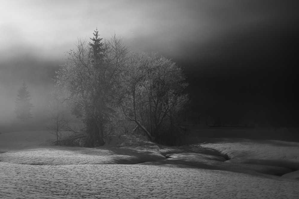 winter is painting in bw from Andy Dauer