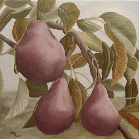 Max Red Bartlett Pears