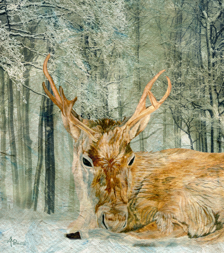 Reindeer In the Forest from Angeles M. Pomata