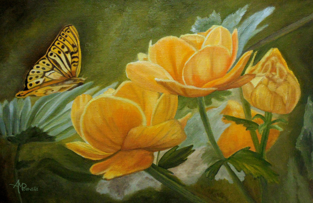 Butterfly Among Yellow Flowers from Angeles M. Pomata
