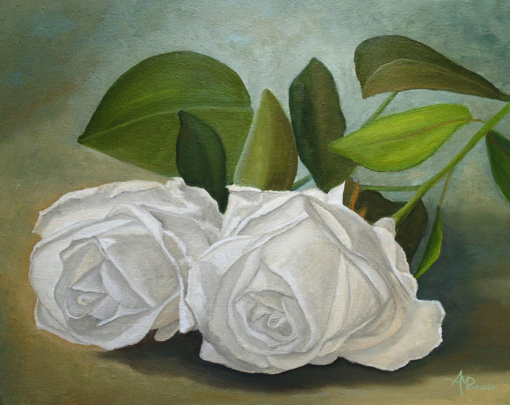 White Roses from Angeles M. Pomata