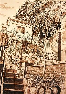 Back Garden, Bath (pen & ink and wash on paper) 