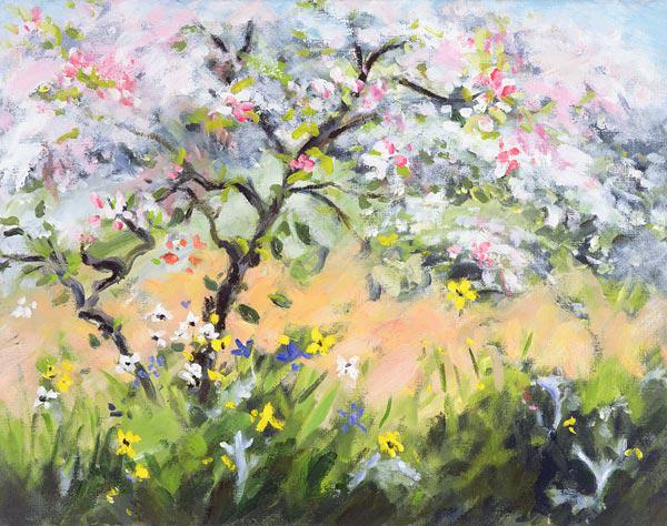 Spring Blossoms (oil on canvas) 
