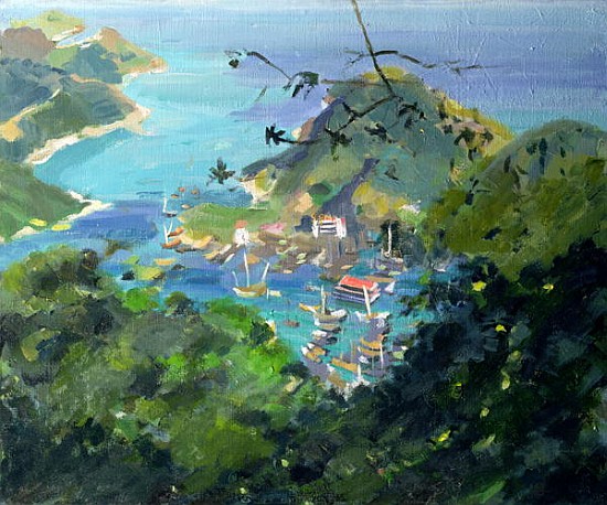 View of Aberdeen from the Peak, Hong Kong (oil on canvas)  from Anne  Durham