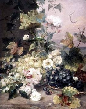 Roses and Grapes
