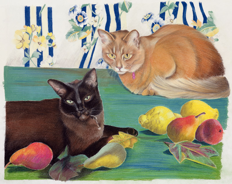 Cats with fruit from Anne  Robinson