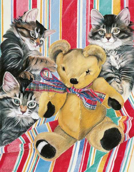 Kittens and teddy from Anne  Robinson