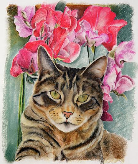 Cat with sweet peas