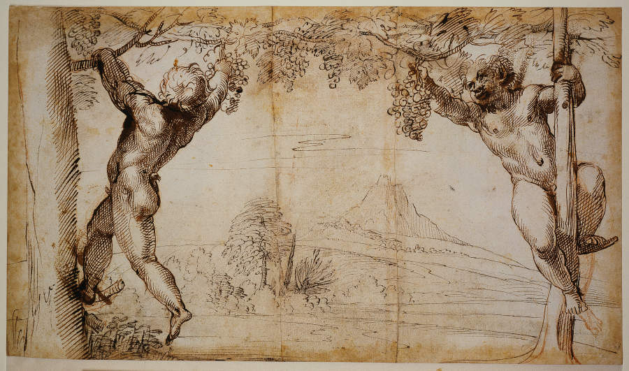 Two Young Satyrs picking Grapes from Annibale Carracci