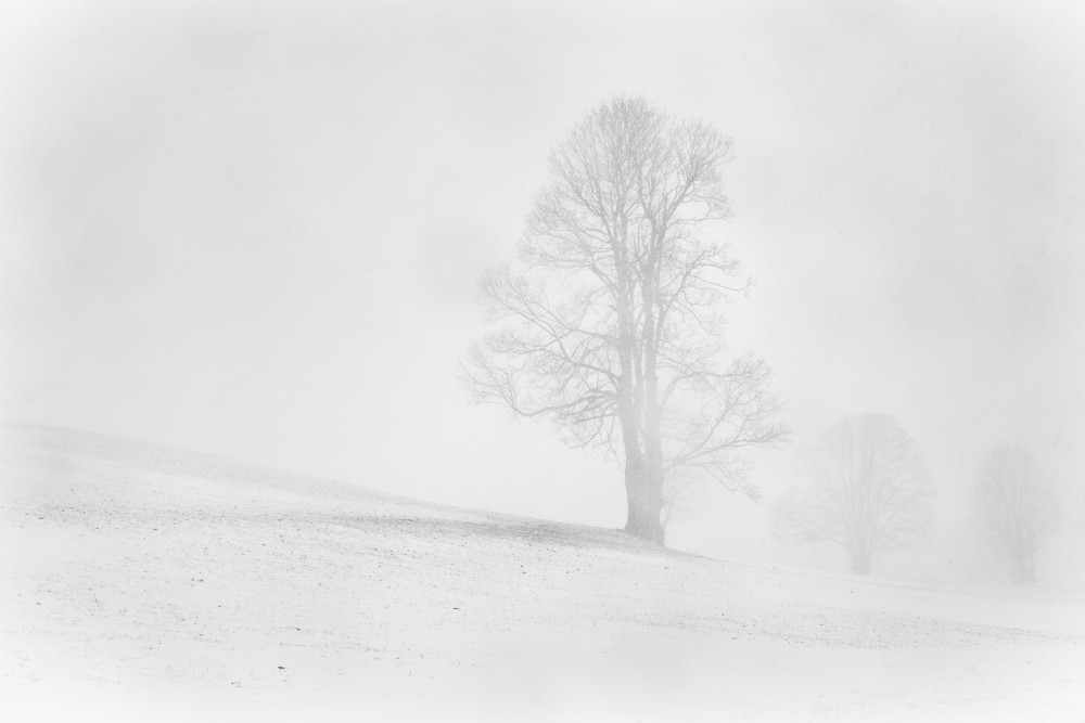 Misty winter in the Allgau from Annie Keizer
