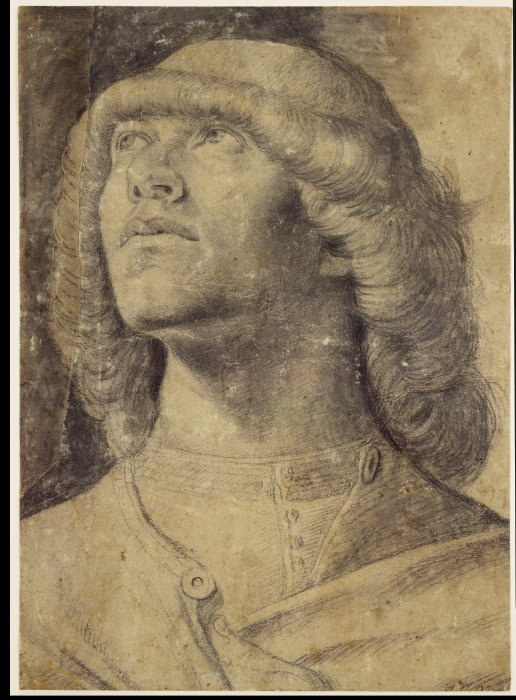 Half-length portrait of a youth looking upwards from Anonym