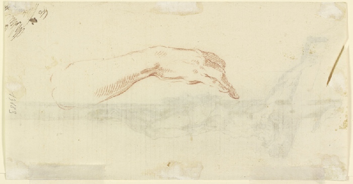 Study of a hand from Anonym