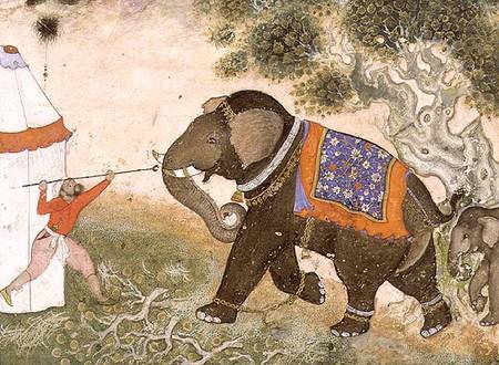52.43 An enraged elephant, Mughal from Anonymous painter
