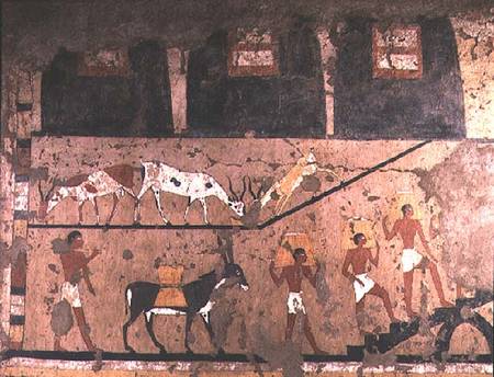 Agricultural scene, wall painting removed from the Mastaba of Ti at Sakkara, Old Kingdom from Anonymous painter