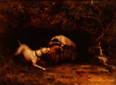 Dogs Baiting a Badger from Anonymous painter