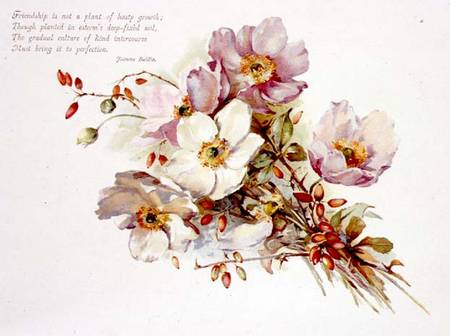 Friendship, Victorian, book illustration of flowers from Anonymous painter
