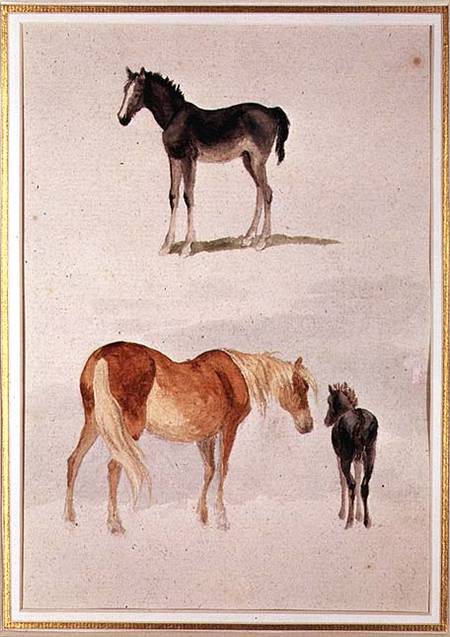 Mares and foals from Anonymous painter