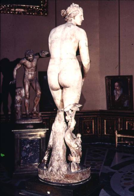 The Medici VenusGreek from Anonymous painter