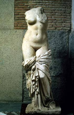 The Sinuessa Aphrodite