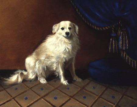 A Toy Dog from Anonymous painter