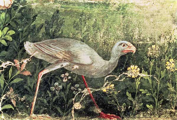 Wall painting of a Sultan chicken in a gardenPompeii from Anonymous painter
