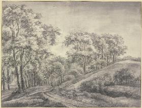 Waldpartie, ein Weg schlängelt sich an einem rechts liegenden baumlosen Hügel vorbei in einen Laubwa
