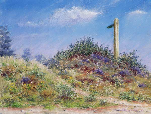 Public Footpath, 2002 (pastel on paper)  from Anthony  Rule