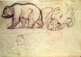 A bear walking, the head of a lion and a leopard attacking an animal