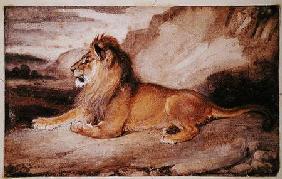 Lion Resting (w/c & gouache on paper)
