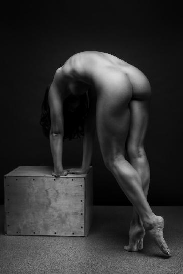 bodyscape