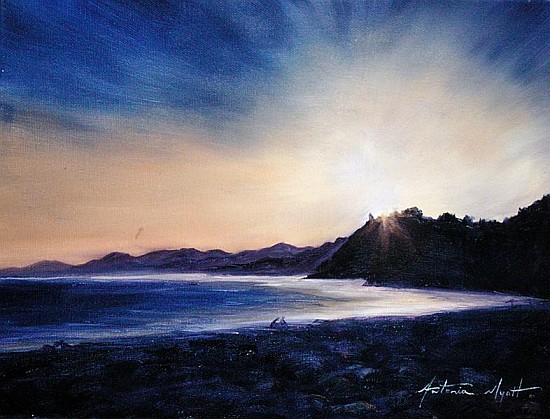 Spanish Coast, 2002 (oil on canvas)  from Antonia  Myatt