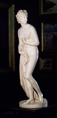 Venus (The Hope Venus), 1818-20 (marble) (see 139521) from Antonio  Canova