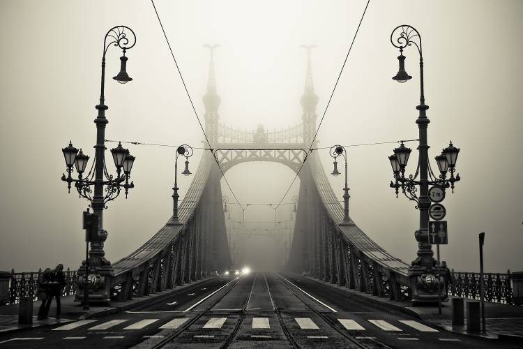 The Bridge from Armin Marten