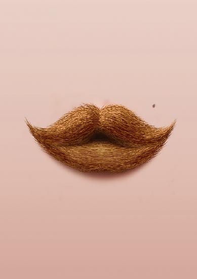 Moustache Kiss