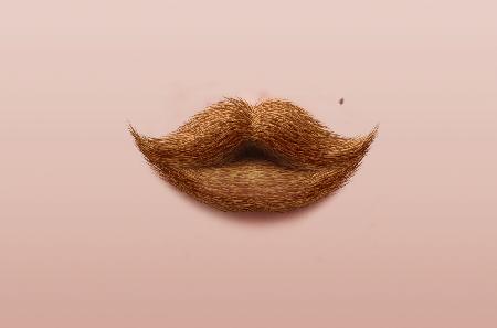 Moustache Kiss