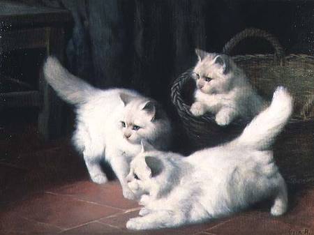 Three White Angora Kittens from Arthur Heyer