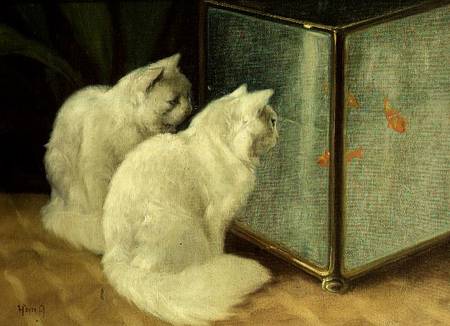 White Cats Watching Goldfish from Arthur Heyer