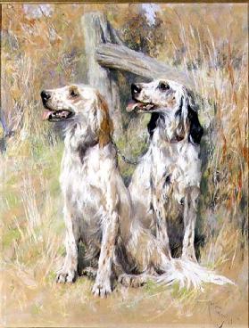English Setters by a Stile