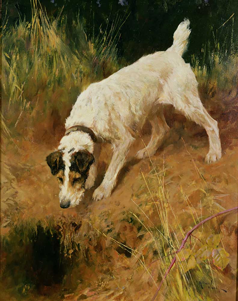 Fox Terrier from Arthur Wardle