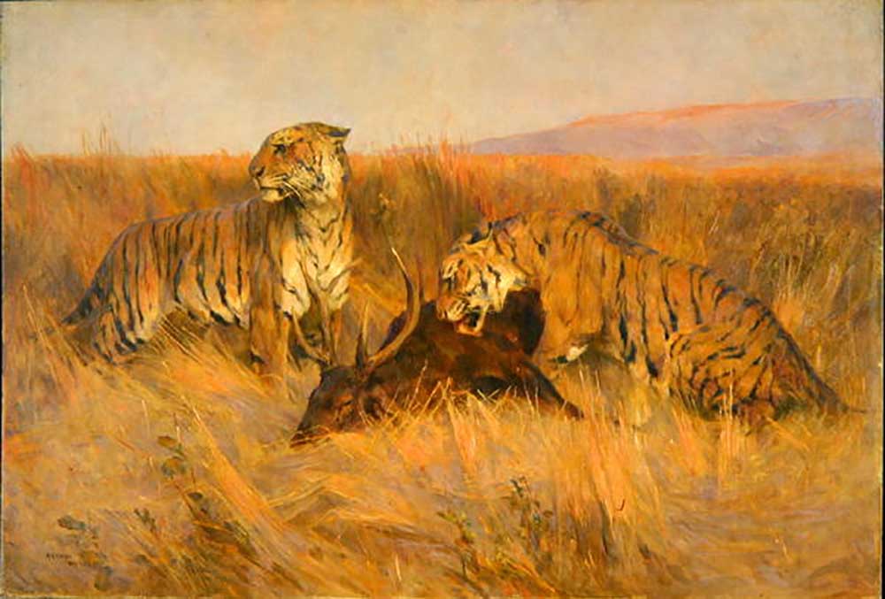 Tigers at Kill from Arthur Wardle