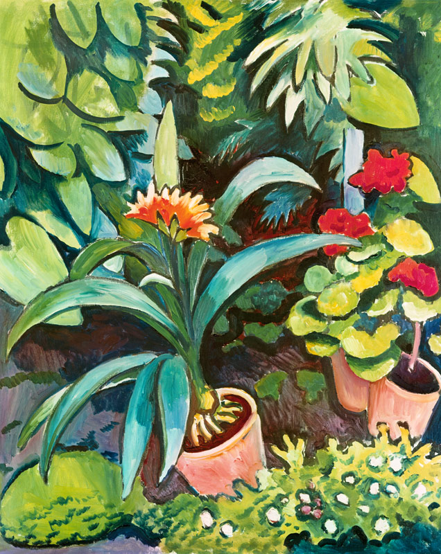 - and the garden, hand Flowers August Clivia painted or Pelarg art as in print Macke