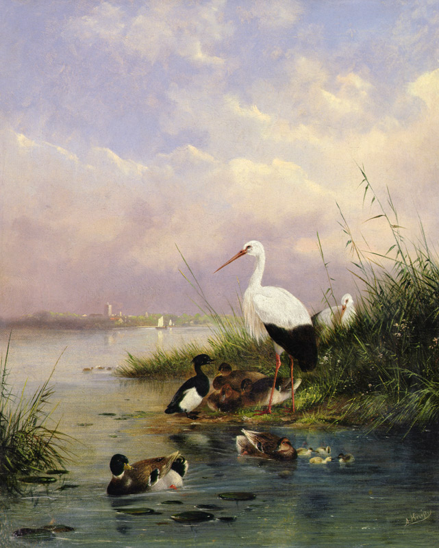 A family of Mallard, two Storks and a family of Tufted Ducks from Augustus Knip