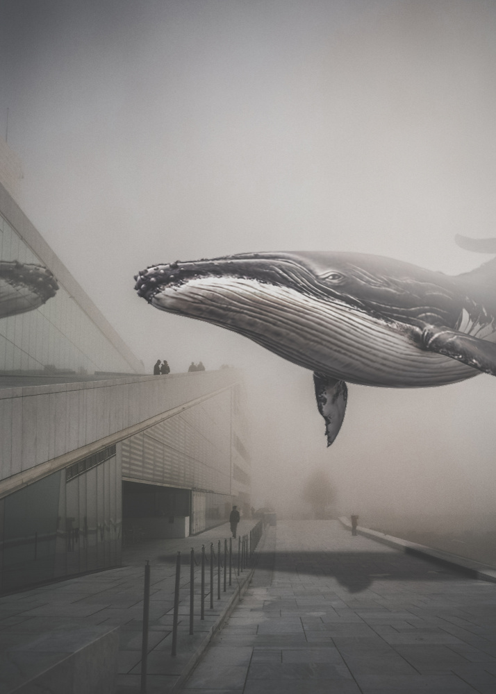 Whale nr. 28 from Baard Martinussen