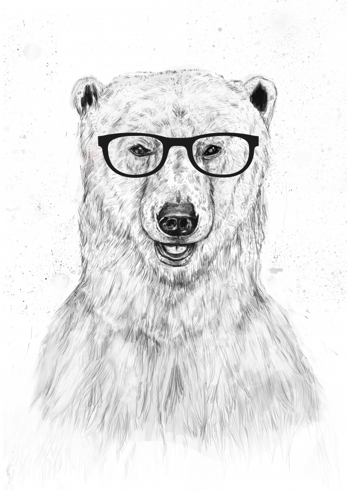Geek bear from Balazs Solti