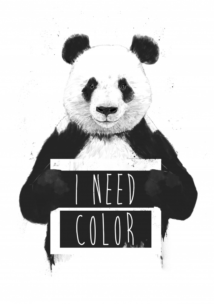 I need color from Balazs Solti