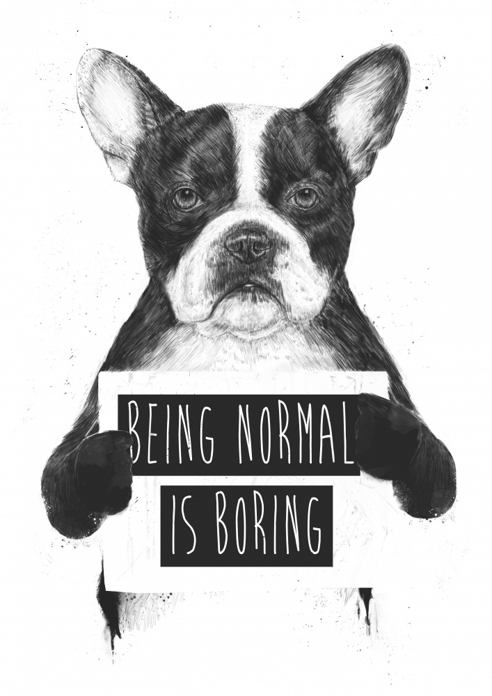 Being Normal Is Boring from Balazs Solti